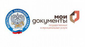 В МФЦ можно получить услуги ФНС России